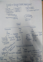 essay r1.pdf